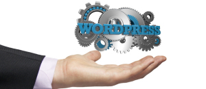 9 administrative PlugIns für WordPress